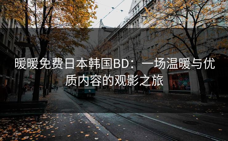 暖暖免费日本韩国BD：一场温暖与优质内容的观影之旅
