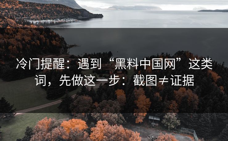 冷门提醒：遇到“黑料中国网”这类词，先做这一步：截图≠证据