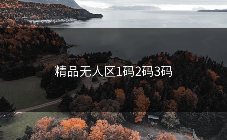 精品无人区1码2码3码